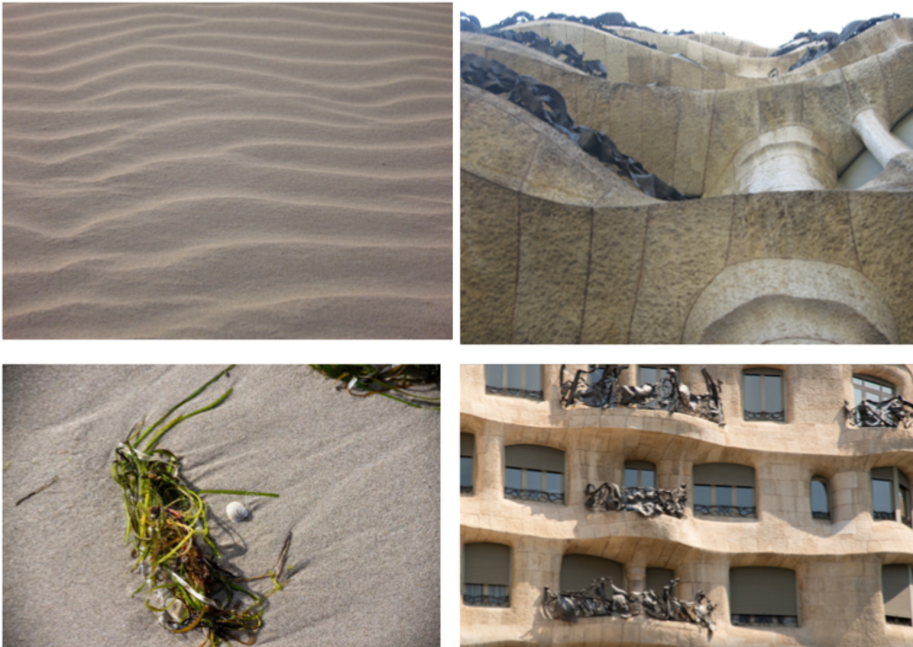 Casa Mila (La Pedrera) : détail du sable de la plage façonné par l’eau de la mer en mouvement ; détail de la façade de Casa Milá vue du dessous ; détail de poignées d’algues jetées sur la plage ; détail des garde-corps en fer forgé