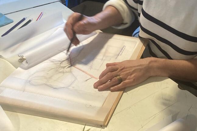 Module 4 : La forme vivante en dessin et en volume